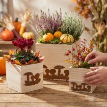 Prodotto Cubi vegetali, fioriera, decorazione autunnale con patina 20/16/12 cm set da 3