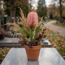 Prodotto Fiore artificiale Banksia rosa decorazione autunnale floristica commemorativa 64 cm