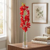 Prodotto Orchidea cymbidium rosso 78cm