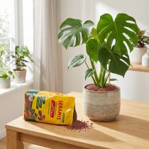 Prodotto Granuli vegetali Seramis per piante d'appartamento 2,5l
