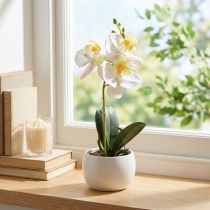 Prodotto Orchidee artificiali in vaso mini orchidee bianche Ø7cm H22cm