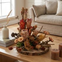 Prodotto Coni di protea esotica essiccata Bellgum 24–48 cm 580 g - Decorazione floreale artificiale Sudafrica