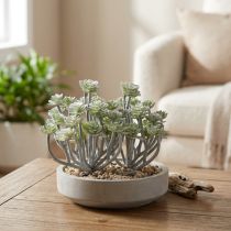Prodotto Stonecrop Piante grasse artificiali Piante artificiali 16cm 4 pz