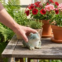 Prodotto Statuetta di rana, decorazione estiva in ceramica per casa e balcone, 12 cm