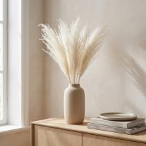 Prodotto Fiori secchi, erba argentata. Elegante decorazione naturale per la casa e l'ufficio. 70 cm, 10 pezzi.