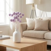 Prodotto Craspedia, fiori secchi ideali per decorare la tavola in stile moderno, 55 cm, 20 pezzi.