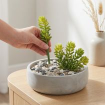 Prodotto Piante grasse artificiali Decorazione verde per spazi abitativi e uffici 15 cm, 6 pezzi