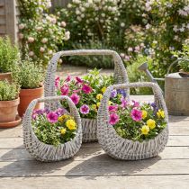 Prodotto Cestino con manico, cestino in vimini, grigio lavato, H43/34/27cm, set da 3
