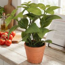 Prodotto Basilico artificiale in vaso Vaso per erbe aromatiche Pianta artificiale 22 cm 2 pezzi