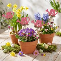 Prodotto Annaffiatoio punteggiato con tappo per fiori in legno decorativo 4,5×7 cm 10 pz