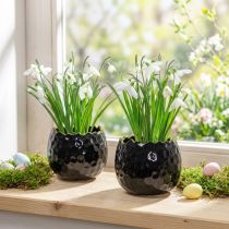 Prodotto Vaso da fiori in ceramica a forma di uovo, nero, Ø10cm, H8cm, 2 pezzi