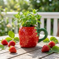 Prodotto Fragola in ceramica per piantare 10 cm Ø6,5 cm