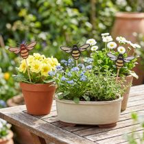 Prodotto Spina ape spina fiore in legno colore natura 34cm 12pz