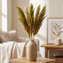 Prodotto Erba secca, verde oliva, decorativa, 70 cm, 10 pezzi, sostituto dell'erba della Pampa
