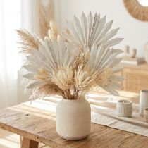 Prodotto Palmspear Sun mini imbiancato 50 pz