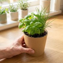 Prodotto Vasi per piante, vasi da fiori, vasi per piante, naturali, Ø11cm H10cm, 6 pezzi