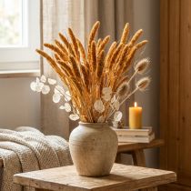 Prodotto Fiori secchi Setaria Pumila Arancio, miglio setoloso, grano decorativo 72 cm 200 g