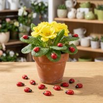 Prodotto Coccinelle decorative da incollare 1 cm rosse 360 pz