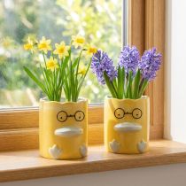 Prodotto Vaso decorativo cilindrico in ceramica a forma di anatra per una casa elegante, 13 cm, 2 pezzi