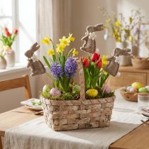 Prodotto Figura decorativa a forma di coniglietto pasquale per decorazioni primaverili e accenti stagionali, 42 cm, 8 pezzi
