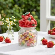 Prodotto Barattolo di caramelle con coperchio barattolo di biscotti alla fragola Ø11cm H18cm