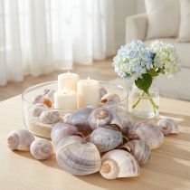 Prodotto Gusci di lumaca naturali 1 kg