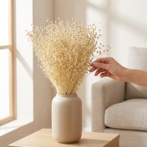 Prodotto Erba di lino essiccata, sbiancata al naturale, 50-55 cm, 180 g