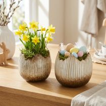 Prodotto Vaso in ceramica Uovo rotto Crema Marrone Ø11,5cm 2 pz
