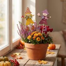 Prodotto Spina per fiori decorazione autunnale legno giallo viola 8×6 cm 12pz