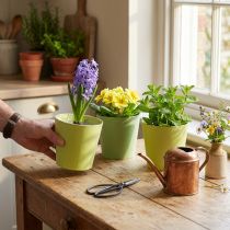 Prodotto Cachepot di carta, fioriera, vaso per piantare blu/verde Ø13cm H12.5cm 4pz