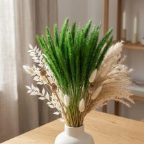 Prodotto Miglio con setole verdi Setaria viridis erba secca 52 cm 28 g