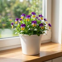 Prodotto Vaso in plastica “Irys” bianco Ø15cm H13cm 1 pz