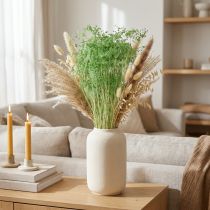Prodotto Fiori secchi, ombrellifere, verdi, 70-80 cm, 150 g