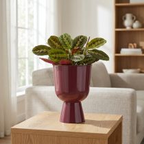 Prodotto Vaso da fiori a forma di coppa, stile moderno, decorativo per qualsiasi casa e ufficio, 23 cm