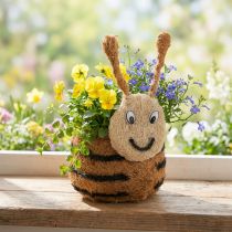 Prodotto Fioriera a forma di ape come cestino decorativo per piante per un design d'interni giocoso, primavera ed estate, 24 cm, 2 pezzi