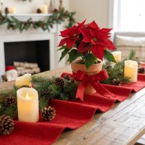 Prodotto Nastro in feltro nastro in lana rossa nastro decorativo L7/15 cm L1 m/1 m set da 2