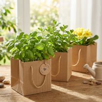 Prodotto Vaso da fiori in carta per piante, foglio naturale, 10,5 cm, 10 pezzi