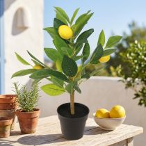 Prodotto Albero di limone artificiale in vaso, alto 40 cm, elemento decorativo
