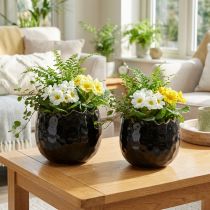 Prodotto Vaso da fiori Uovo in ceramica nero Vaso per piante nero Ø12 cm 2 pezzi