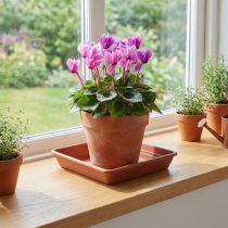 Prodotto Sottobicchiere Lara quadrato 20 cm x 20 cm terracotta 1 pz