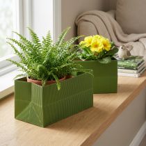 Prodotto Fioriera a coste lunghe Verde Oliva 24x12 cm 6 pz