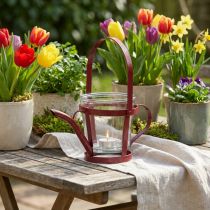 Prodotto Annaffiatoio decorativo in vetro lanterna metallo rosso Ø14cm H13cm
