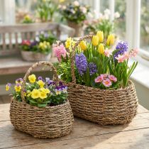 Prodotto Cesto per piante con manico cesto per fiori L23/35 cm set da 2