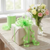 Prodotto Nastro arricciacapelli verde lime 10mm 250m