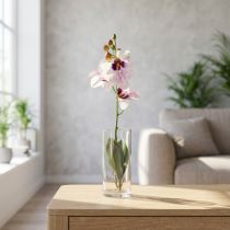 Prodotto Orchidea Phalaenopsis artificiale, bianca e viola, 43 cm