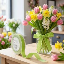 Prodotto Nastro di velluto Verde chiaro Nastro decorativo 20mm 10m