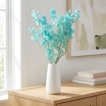 Prodotto Lunaria annua secca Occhiali del Papa Azzurro chiaro 65cm 20g