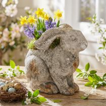 Prodotto Vaso decorativo in cemento a forma di coniglio per Pasqua grigio antico H27cm