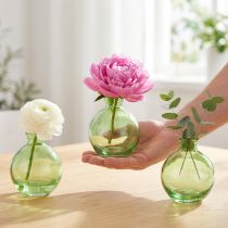 Prodotto Piccoli vasi in vetro, mini vasi a bulbo, verde, Ø7,5cm, H9cm, 6 pezzi