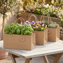 Prodotto Sacchetti per piante carta naturale rigata 24x12x12cm 8 pz
